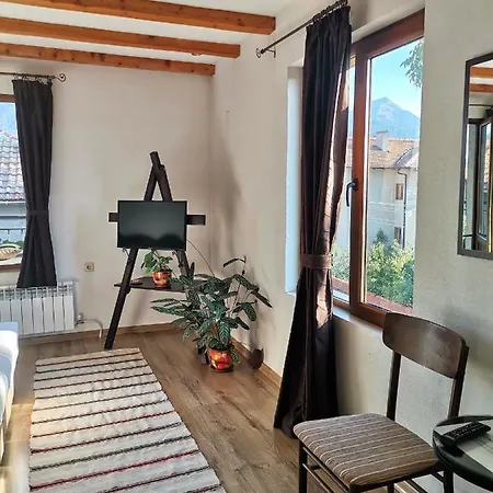 за гости дима بانسكو