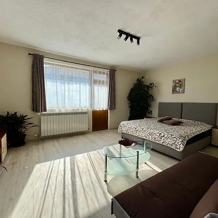 公寓 Dima Suites Bansko - Vihren View & Free Parking 班斯科