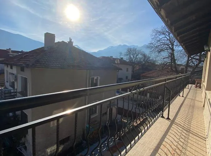 за гости дима *