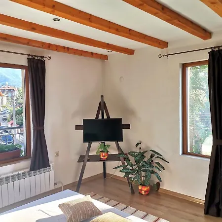 за гости дима *