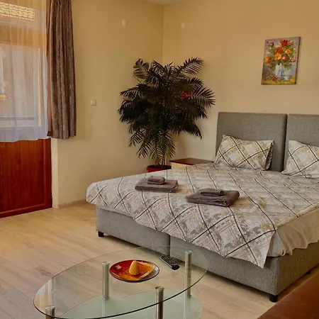 Διαμέρισμα Dima - Vihren View & Free Parking *