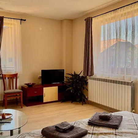 Διαμέρισμα Dima - Vihren View & Free Parking Μπάνσκο