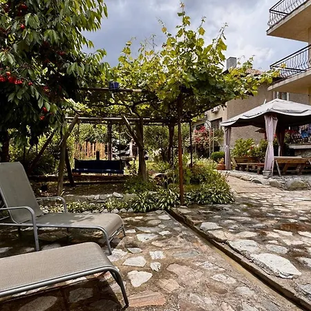 Dima - Vihren View & Free Parking Μπάνσκο