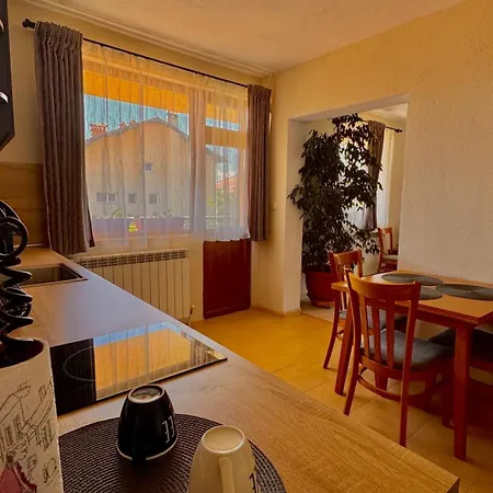 Dima - Vihren View & Free Parking