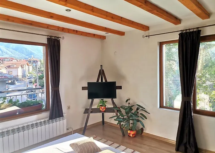 за гости дима *