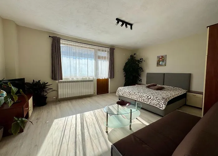Apartment за гости дима Bansko