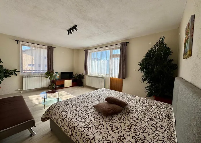 за гости дима * Banszko